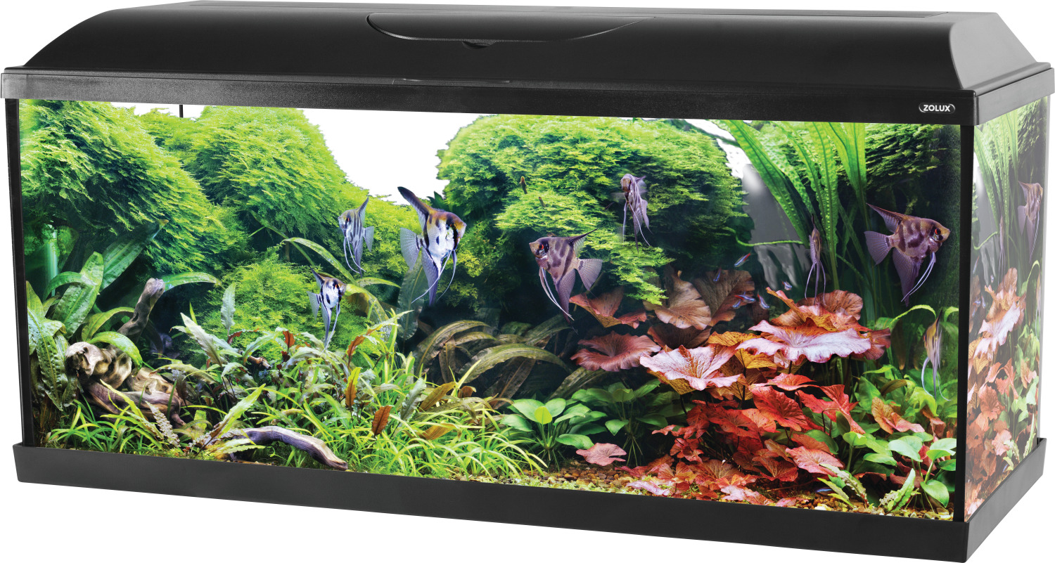 Kit aquarium iseo tout équipé L 101 x p 31 x h 47,5 cm 106L noir
